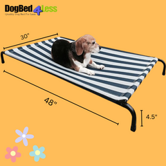 Steel Elevated Pet Bed - 2 Sizes