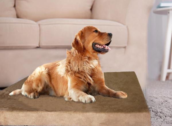 Pet Bed Category