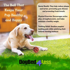 Dog Toy Ball – 3 Pack for Medium to Large Dogs – Vibrant Teeth Cleaning Treat Dispensing Fetch Balls Red, Blue, and Green 2.75” Diameter