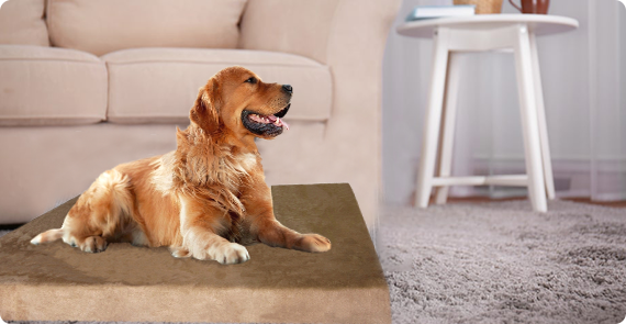 Dogbed4less orthopedic memory foam dog bed online