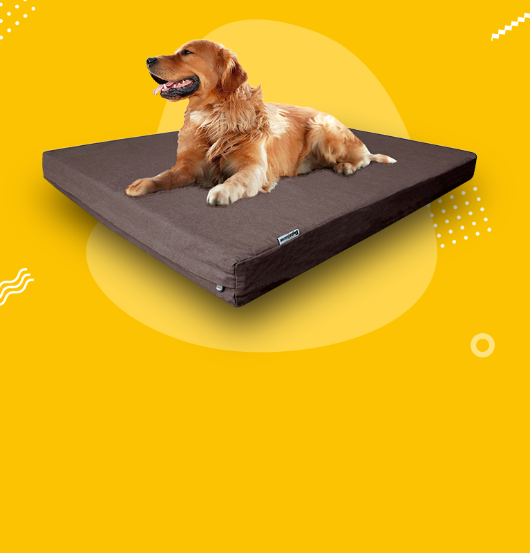 Dog beds best sale 4 less