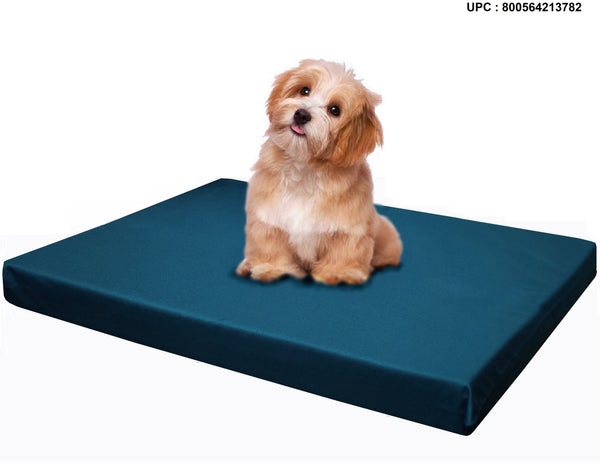 PetBed4Less Deluxe Orthopedic Memory Foam Dog Bed Pet Pad with Chew  Resistant NOT chew-Proof and Removable Zipper Cover + Free Waterproof Dog  Bed