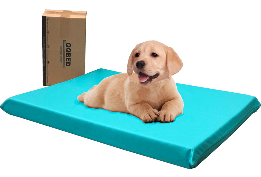 3" Waterproof Gel Memory Foam Pet Bed with Vibrant Color - 2 Sizes in 6 Colors